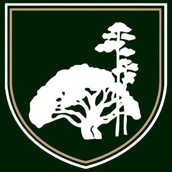 Imleagues Bainbridge State College Intramural Home