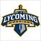 Lycoming College