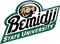 Bemidji State Univer