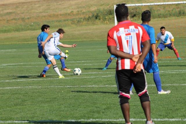 Intercultural Festival