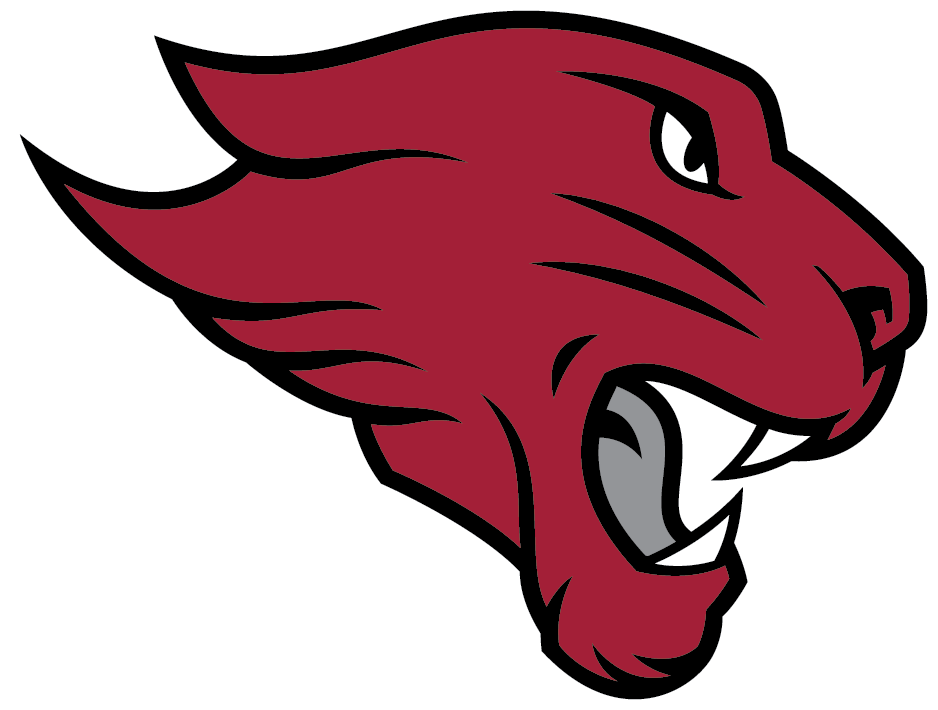 Concordia University Chicago