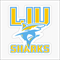 LIU Post