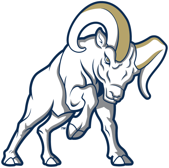 North Central University