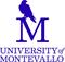 University of Montev