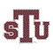Texas Southern Unive