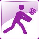 Wallyball