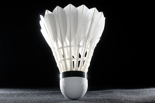 Badminton Singles