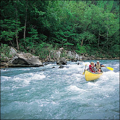 Canoeing Piney River