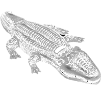 Inflatable Gator Race