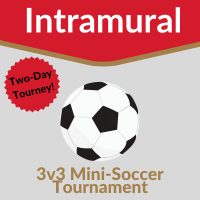 Mini-Soccer Tournament