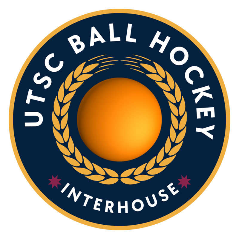 Monday Coed Ball Hockey League