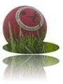 Sport Logo