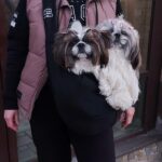 Why Every Pet Owner Needs a Travel Suitcase for Dogs