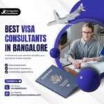 Who Are Visa Consultants and What Services Do They Offer