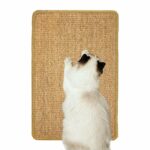 Discover the Best Cat Scratcher to Keep Your Feline Happy and Active