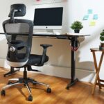 The Ergonomic Features of an Ideal Study Chair