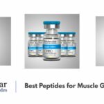 Fitness Enthusiasts, Here Are the Best Peptides for Muscle Growth