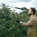 How to Prepare Your Texas Trees for Summer with Expert Trimming