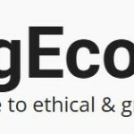 Small Changes, Big Impact: Living the Veg Eco Way