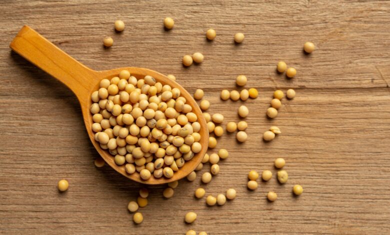 Buy Premium Soya Chunks Online in Pakistan