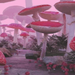 Exploring Dreamcore Aesthetic Elements as a Right to Self-Expression and Escape