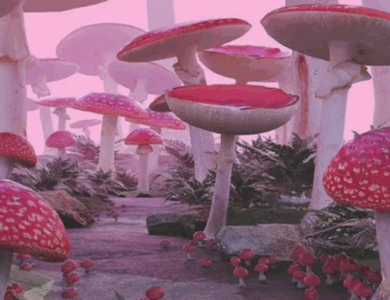 Exploring Dreamcore Aesthetic Elements as a Right to Self-Expression and Escape