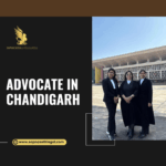 How Do Lawyers in Chandigarh Handle Custody Cases