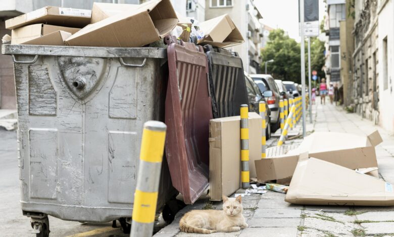 The Ultimate Guide to Responsible Dog Ownership: Essential Tools for Clean Communities