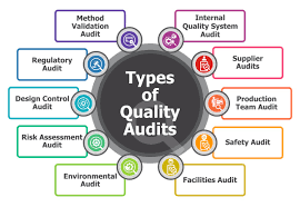Who Should Pursue CMMI Certification?