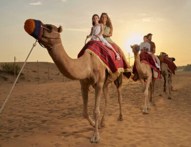 Discover the Magic of Arabian Sands with Noble Life