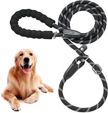 How to Choose the Right Leash for Every Phase of Your Dog’s Training Journey
