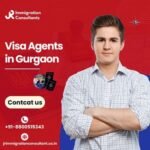 What Services Do the Best Visa Consultants Provide