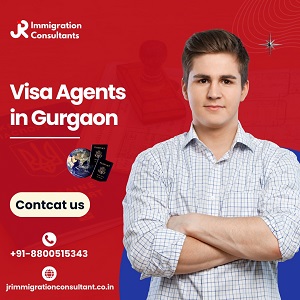 What Services Do the Best Visa Consultants Provide