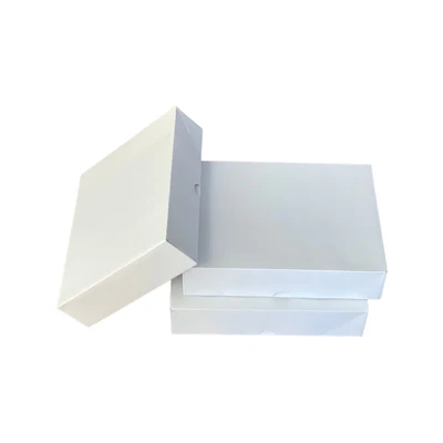 The Smart Way to Ship Documents: Why Envelope Boxes Are a Game Changer