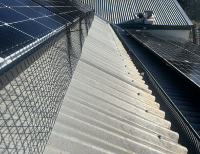 Protecting Your Solar Investment: A Guide to Solar Panel Bird Proofing and Deterrents