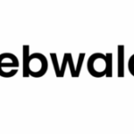 Professional Ecommerce Website Development