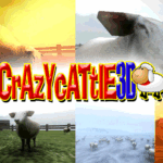 My Unexpectedly Wild Ride with Crazy Cattle 3D