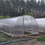 Eco-Friendly Climate and Irrigation Systems for Sustainable Greenhouses