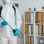 Local Pest Control Experts Termite Solutions in Buford GA