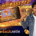 Best High RTP Slots You Can Play on RajveerExch in 2025