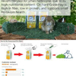 Is Milk Safe for Rabbits? Shocking Facts Explained