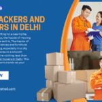 Best Packers and Movers in Delhi