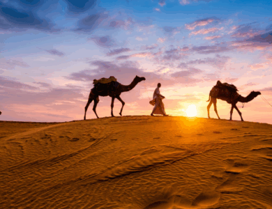 Desert Safari Dubai: What to Expect and How to Prepare?