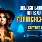 Funinexchange for Live Updates: Ultimate Guide