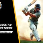 Online Cricket ID WhatsApp Number: WhatsApp Online Cricket ID—Easy Setup!