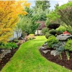 How to Maintain a Lush Lawn Year-Round in Manassas, VA