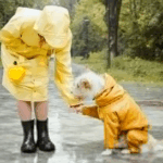 How Trailblazer Waterproof Gaiters from Night Hawk Pro Gear Keep You Dry and Protected Outdoors