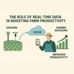 The Role of Real-Time Data in Boosting Farm Productivity