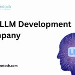 Top LLM Development Company​