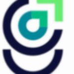 SEO Services Vancouver